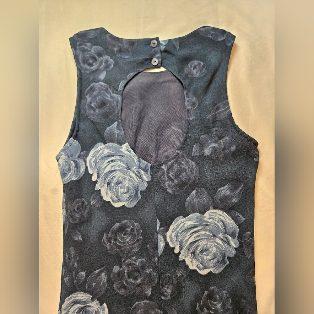 Johnnie M. Womens Blue Floral Sleeveless 2 Button Closure Maxi Dress Size 4 - Picture 10 of 12